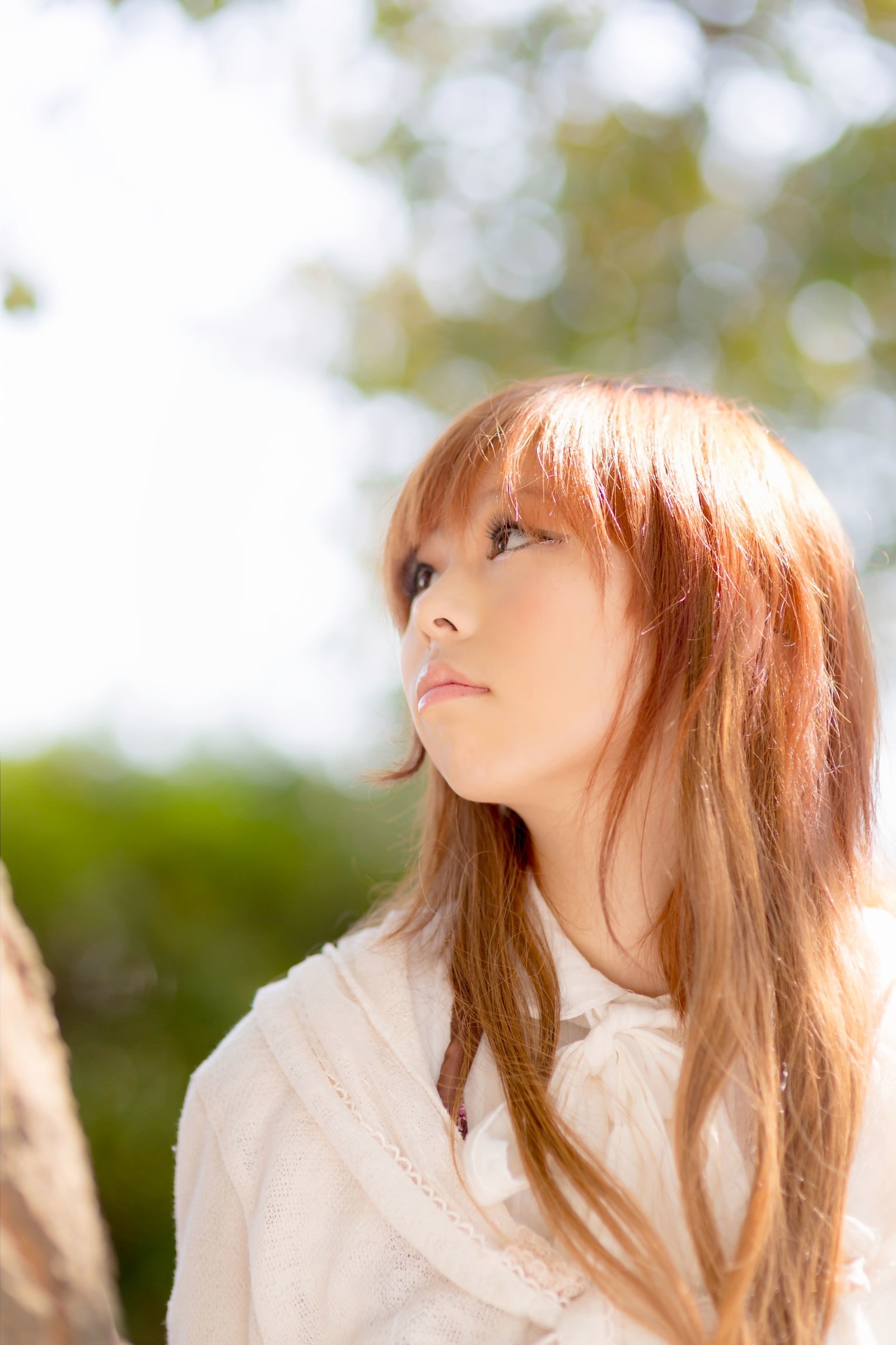 セミロング写真1